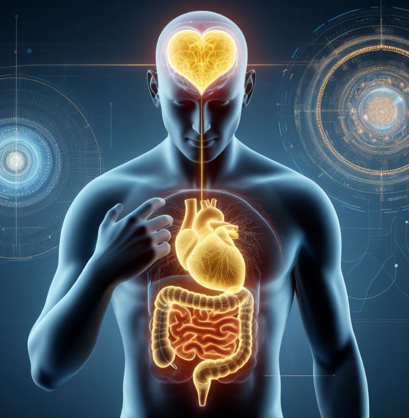 Head, Heart, Gut